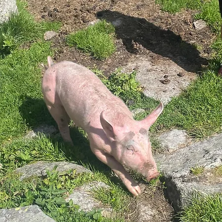 Rieser - Im Herzen Von - Sonniger Balkon - 3 Schlafzimmer Apartamento Mayrhofen