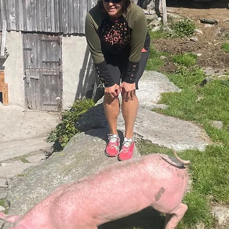 Rieser - Im Herzen Von - Sonniger Balkon - 3 Schlafzimmer Appartamento *