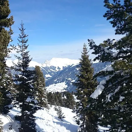 Appartement Rieser Mayrhofen