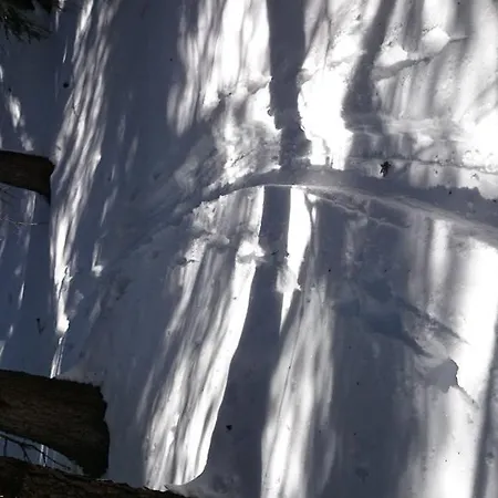 Appartement Rieser *